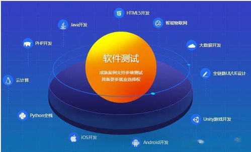 建立高效的軟件測試管理體系 技術推廣與實施指南