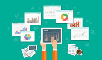 標準通用產品與軟件定制開發 全面對比與技術推廣分析